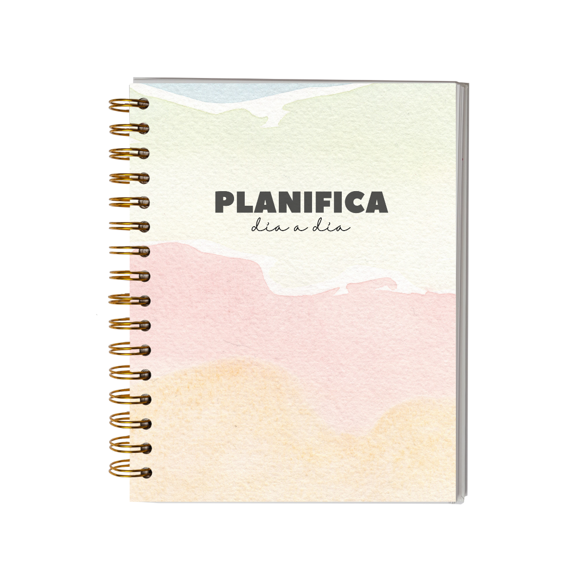 Planifica Tu Día - Planner Diario 3 Meses Sin Fecha