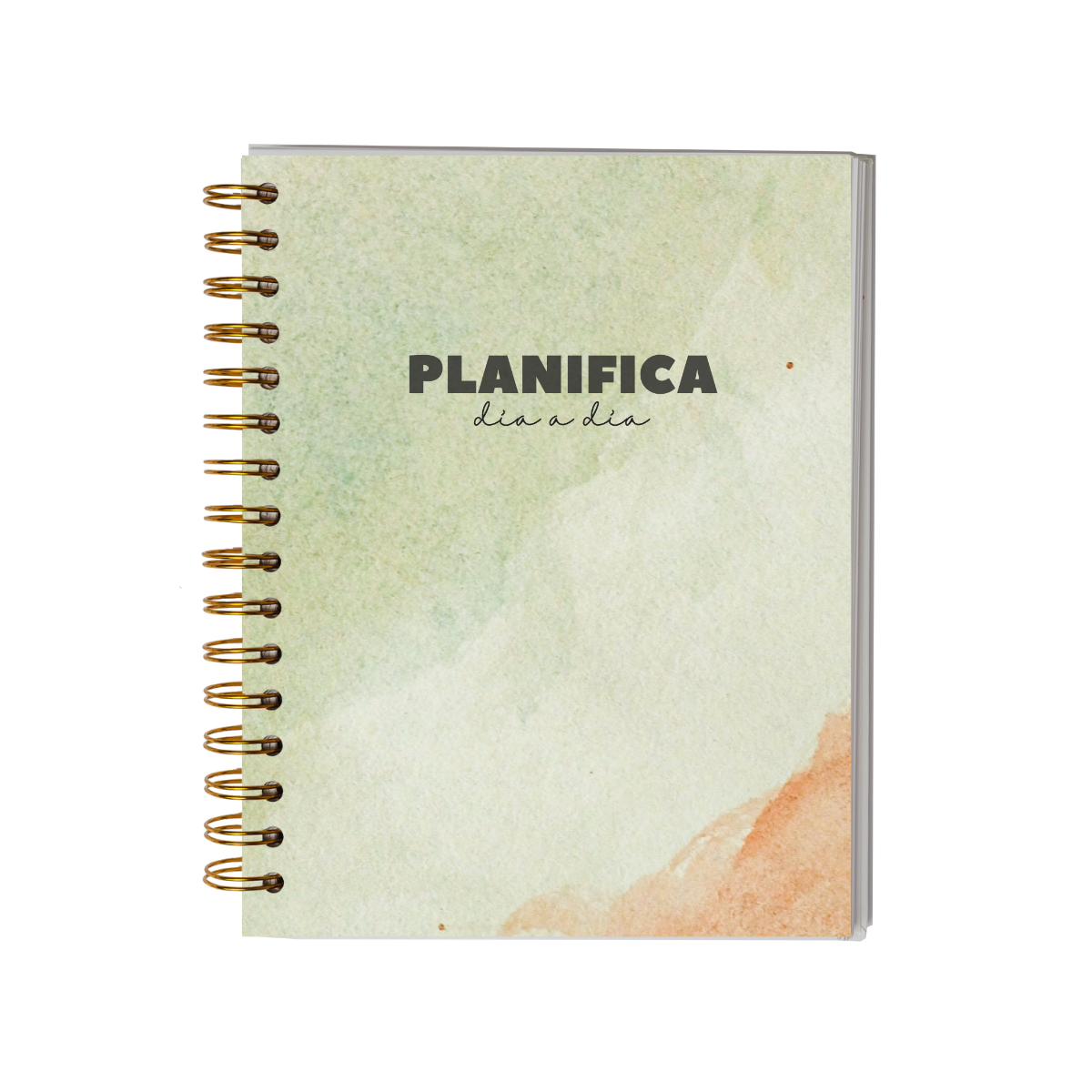 Planifica Tu Día - Planner Diario 3 Meses Sin Fecha