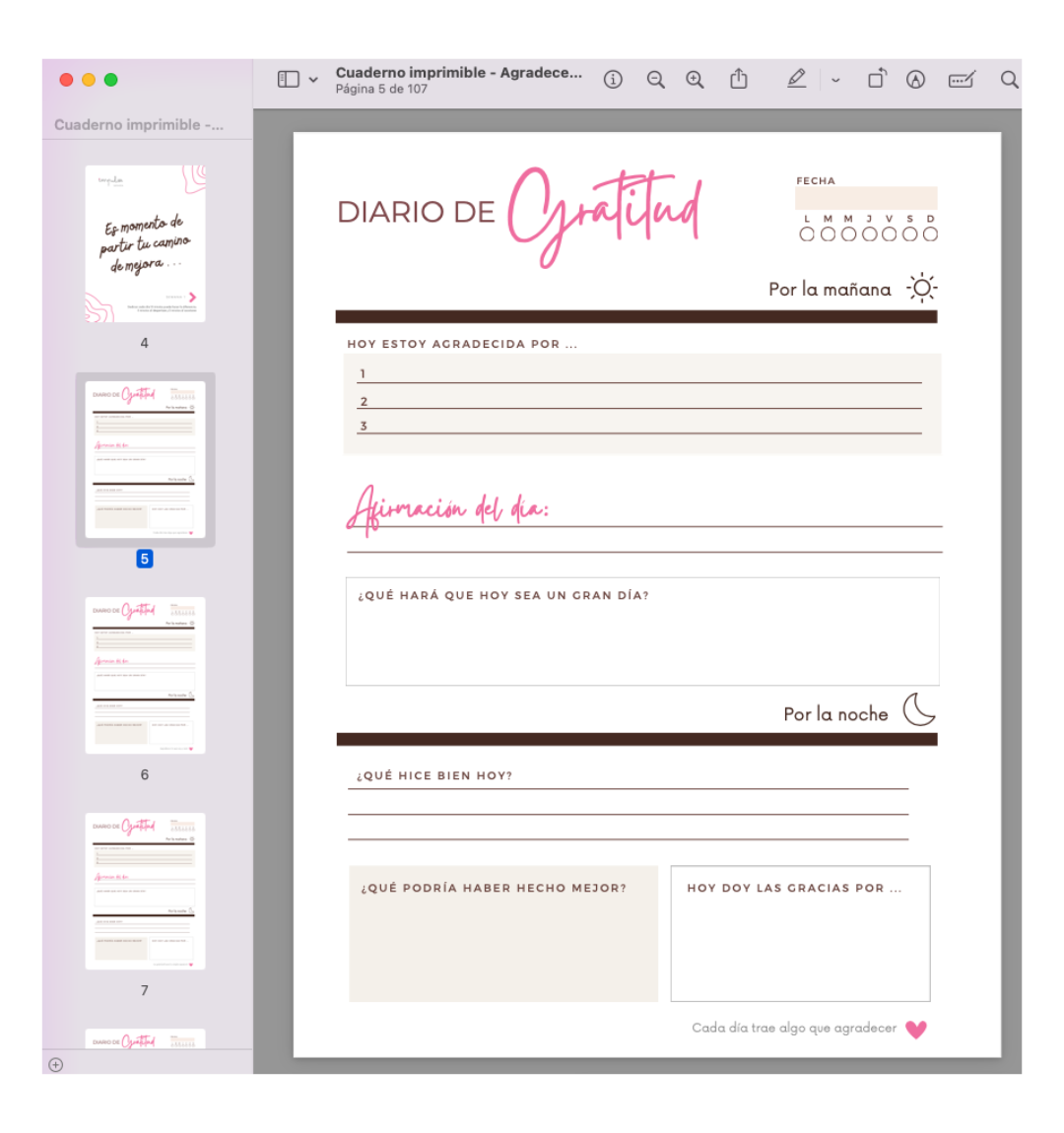 Cuaderno de gratitud 90 días
