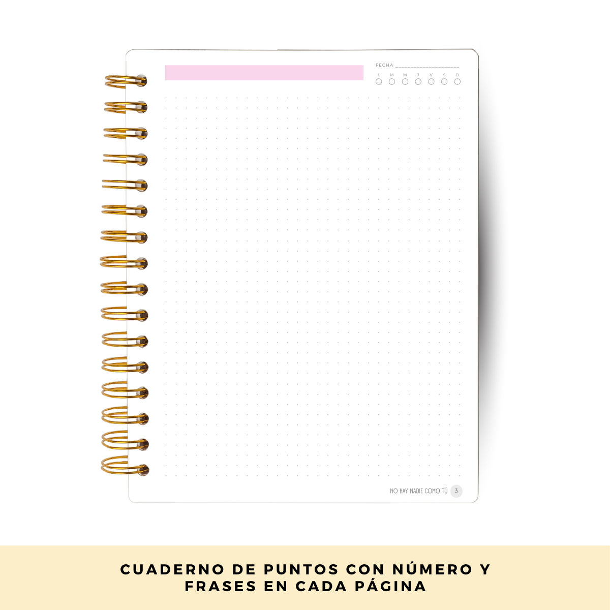 Cuaderno De Notas / Hojas Con Puntos