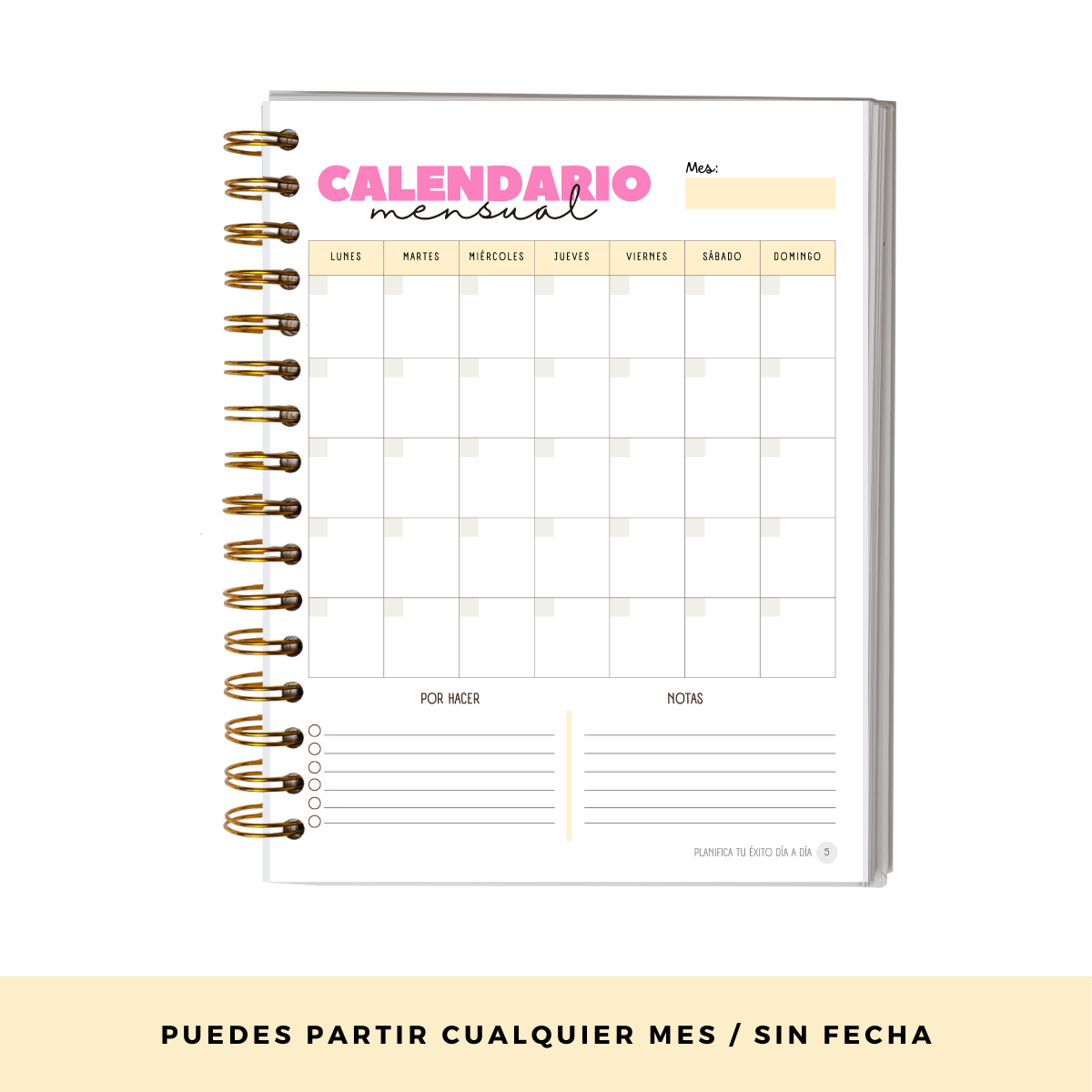 Planifica Tu Día - Planner Diario 3 Meses Sin Fecha