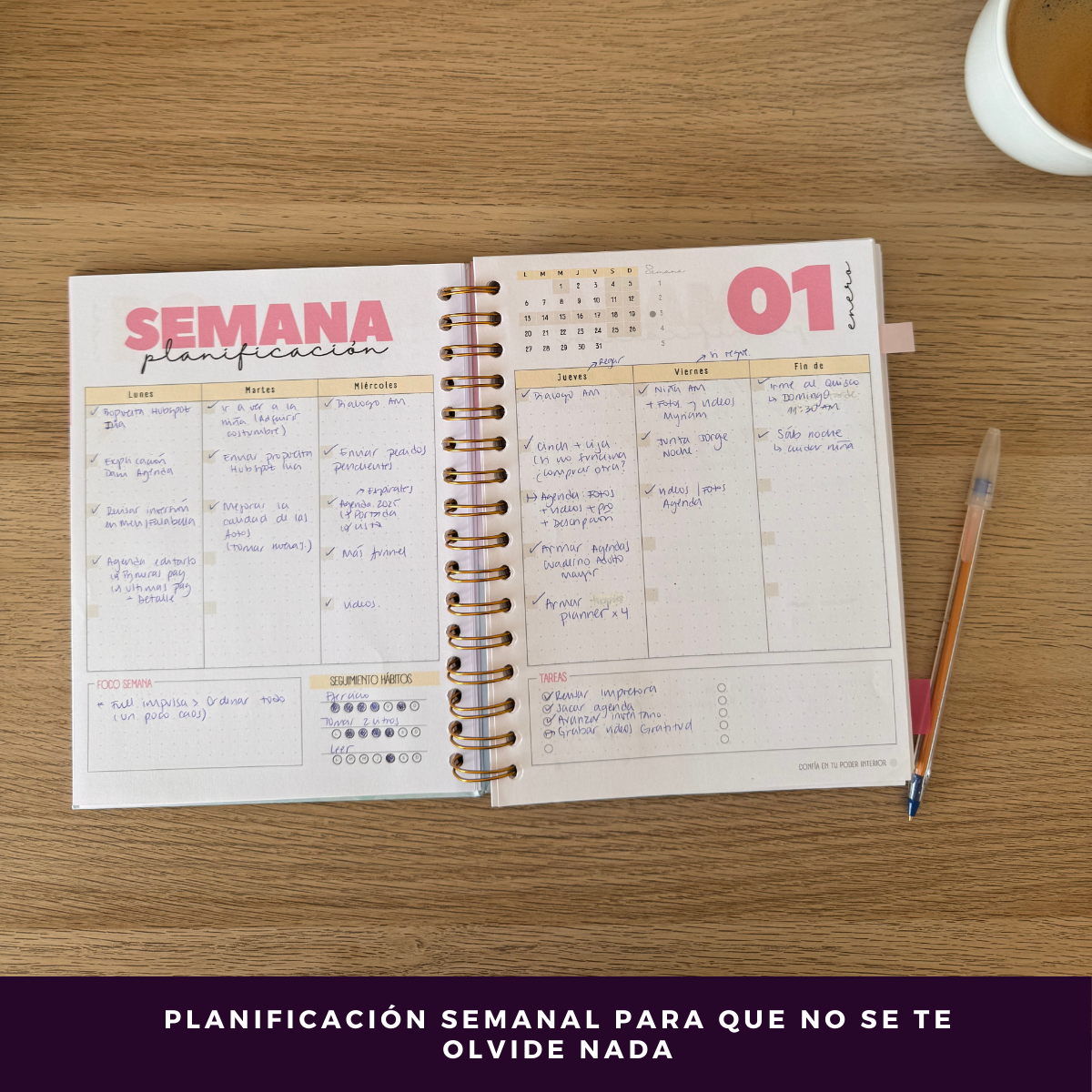 Agenda 2025 - Con Fecha Portada Colores