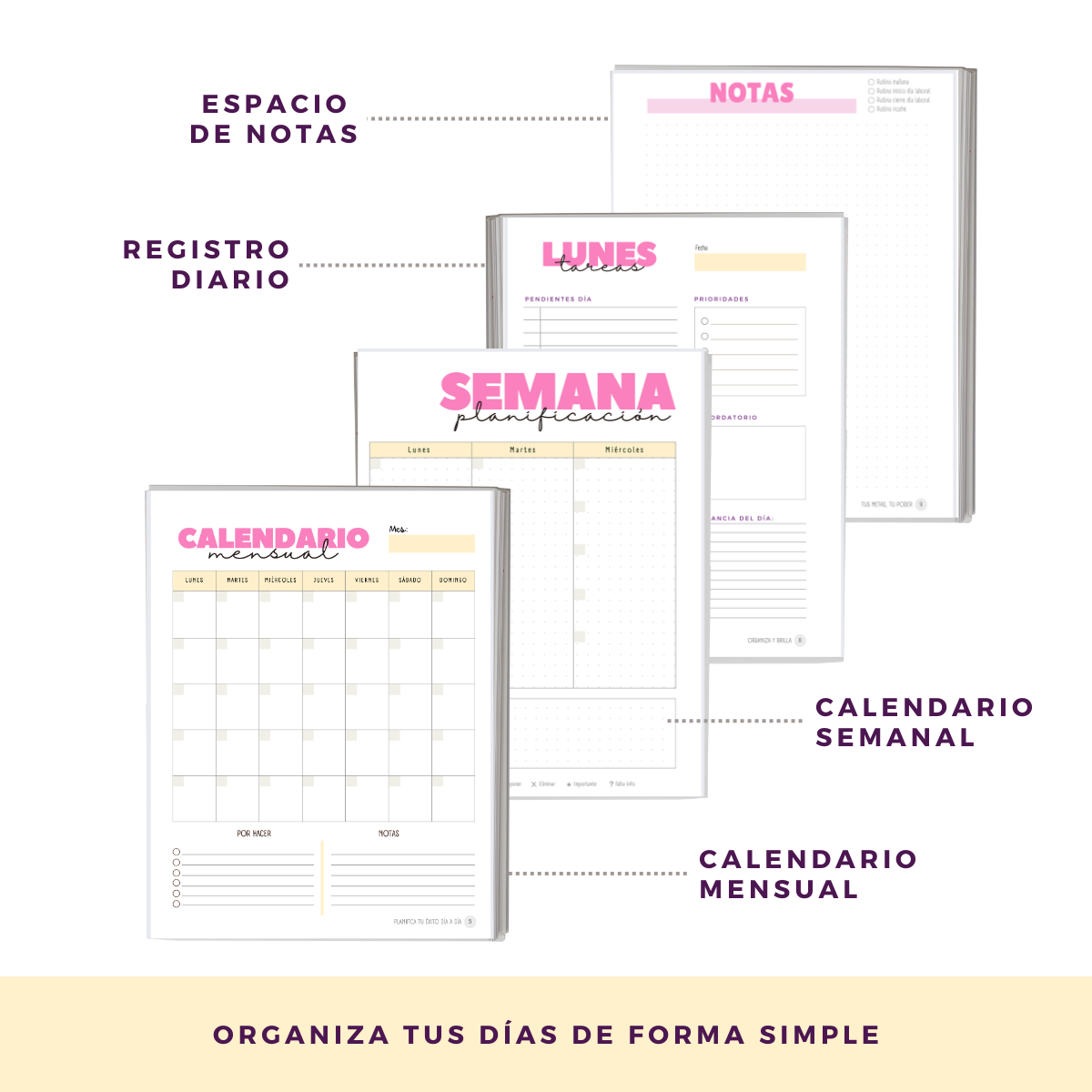 Planifica Tu Día - Planner Diario 3 Meses Sin Fecha