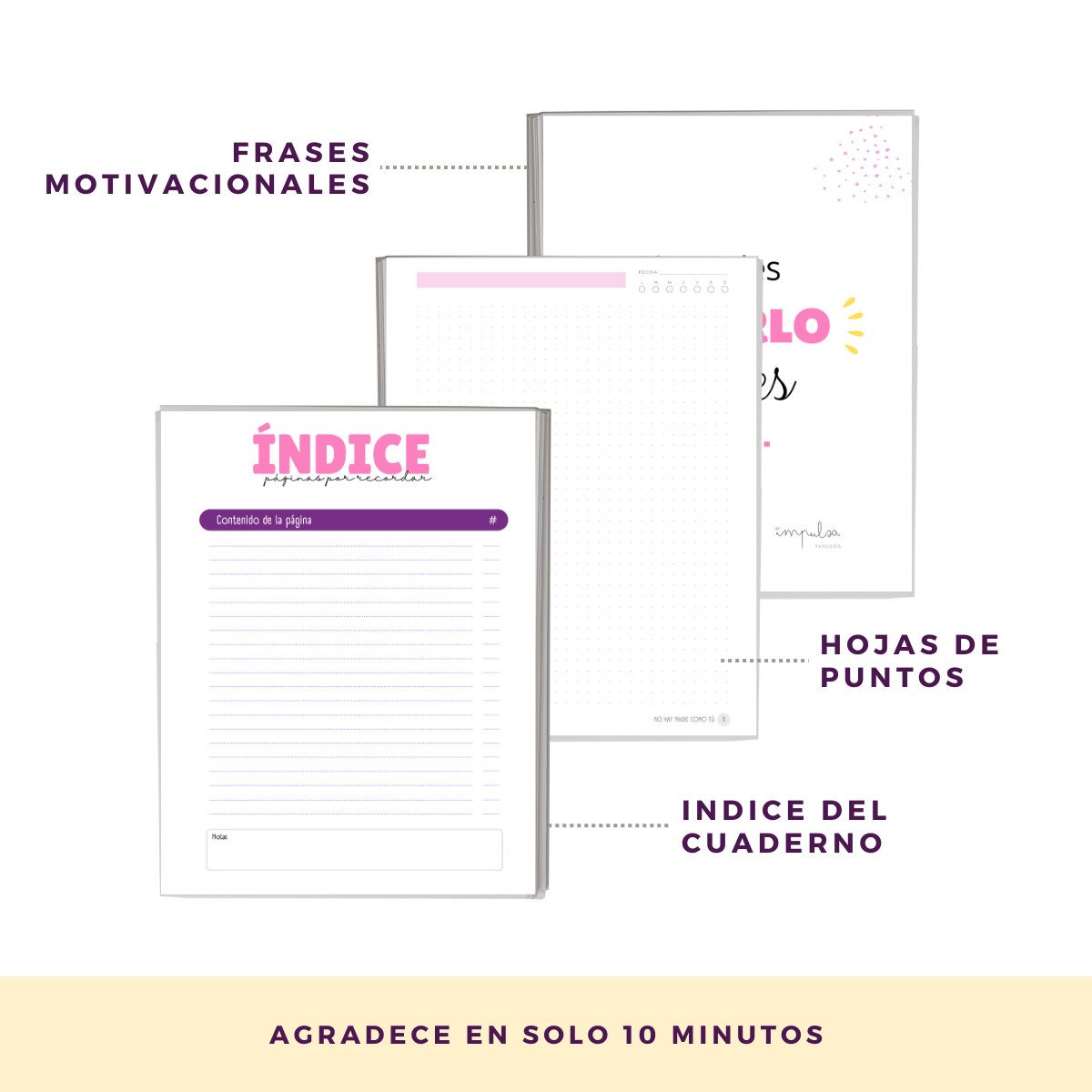 Cuaderno De Notas / Hojas Con Puntos