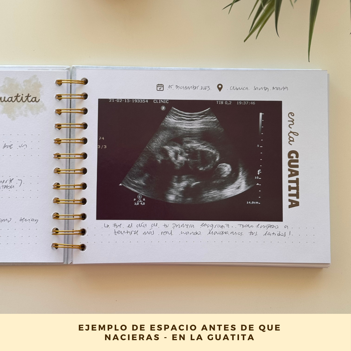 Álbum De Fotos Y Recuerdos Para Bebés - Primeros Recuerdos