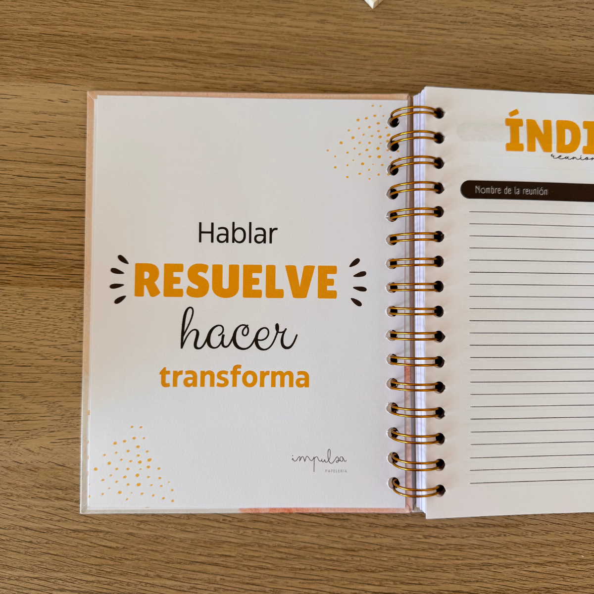 Cuaderno de Reuniones Profesional - Espacio para 60 Reuniones