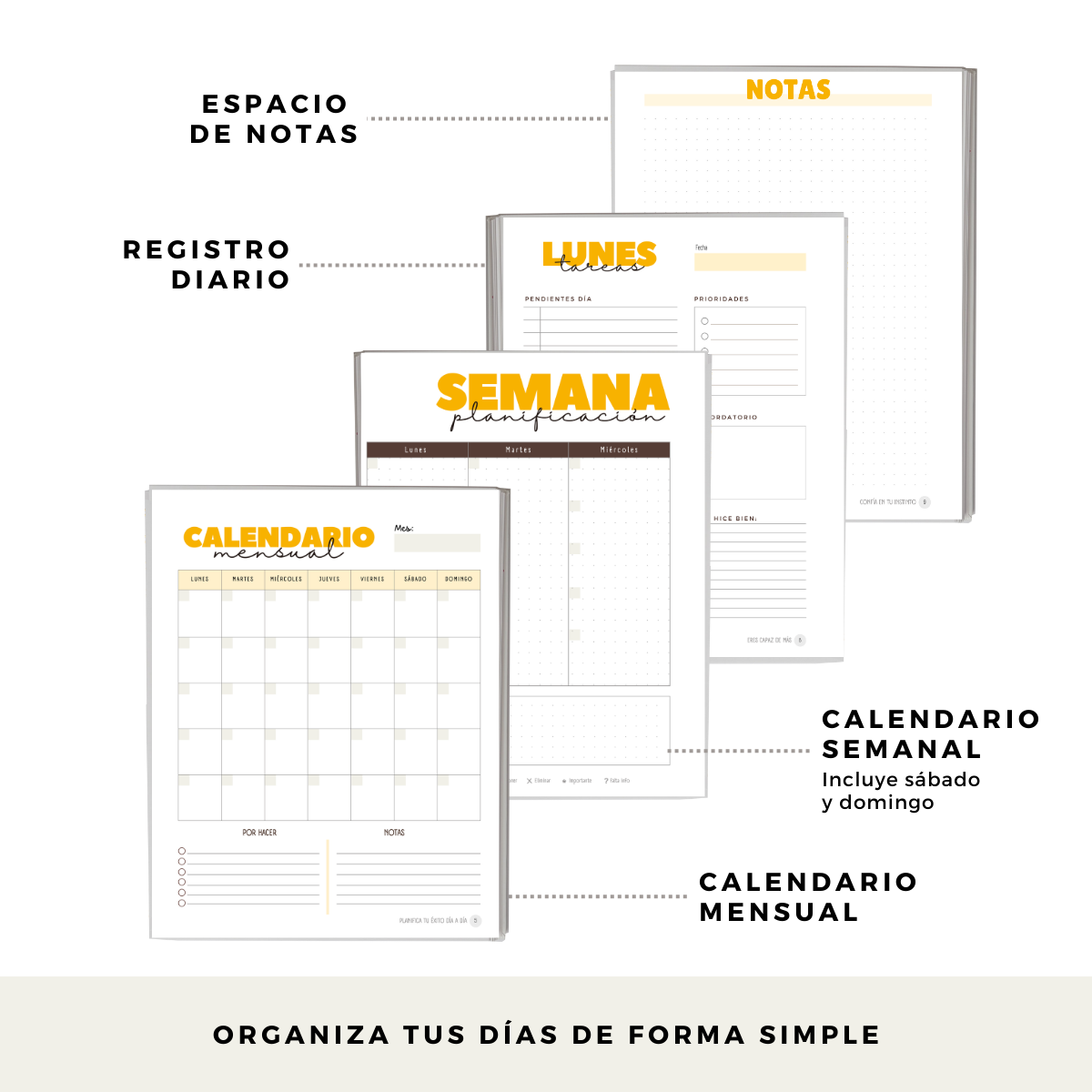 Planifica Tu Día - Planner Diario 3 Meses Sin Fecha