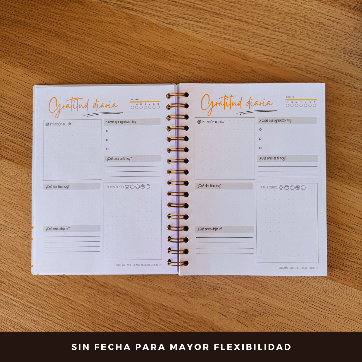 Diario De Gratitud - 90 Días - Diseño Neutro