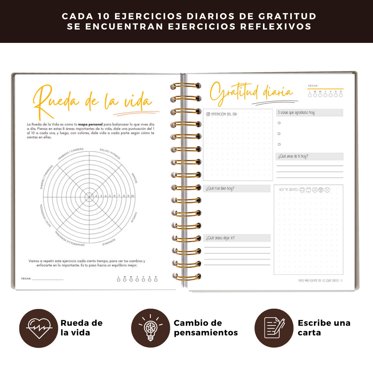 Diario De Gratitud - 90 Días - Diseño Neutro