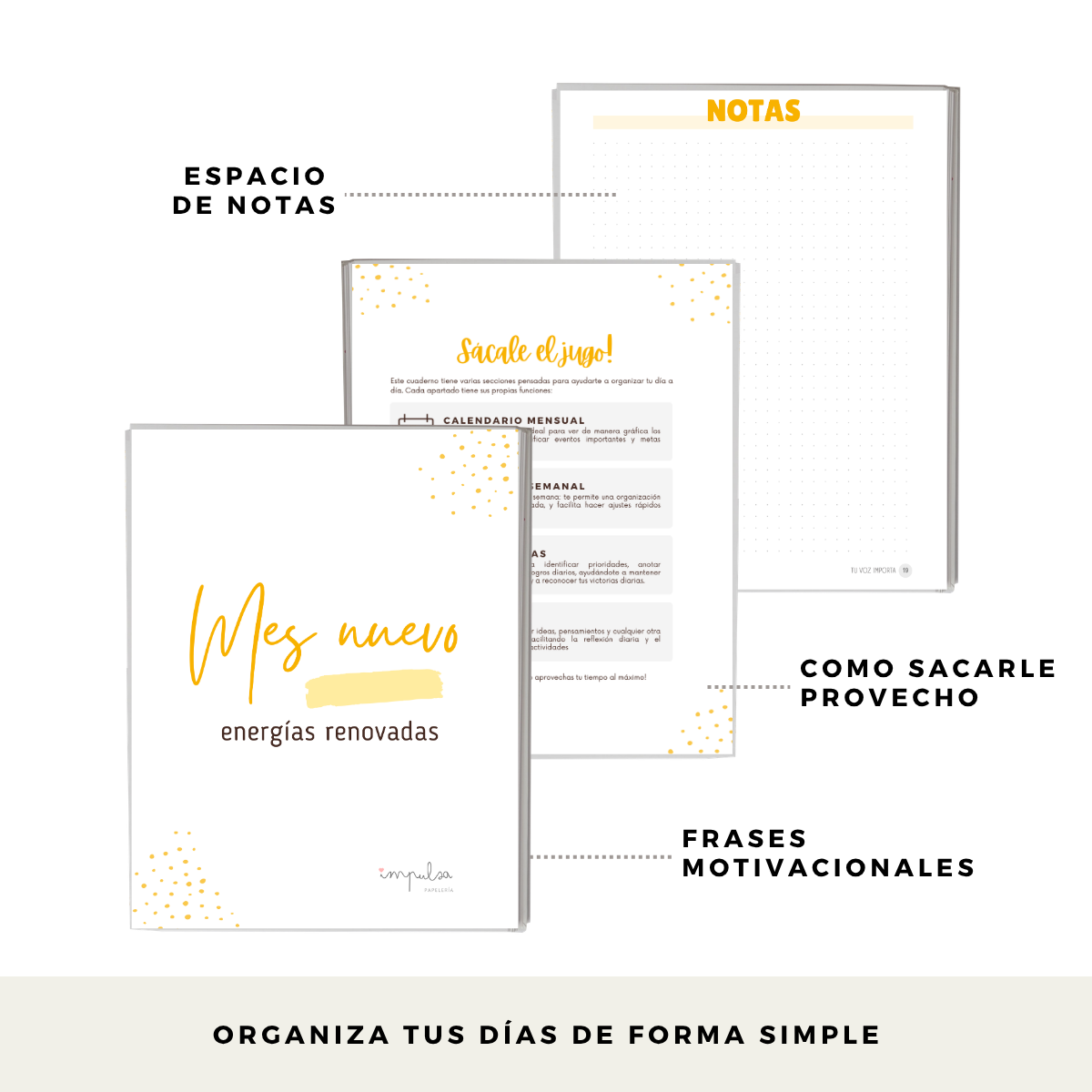 Planner Diario 3 Meses Sin Fecha Personalizado Nombre 2 Días