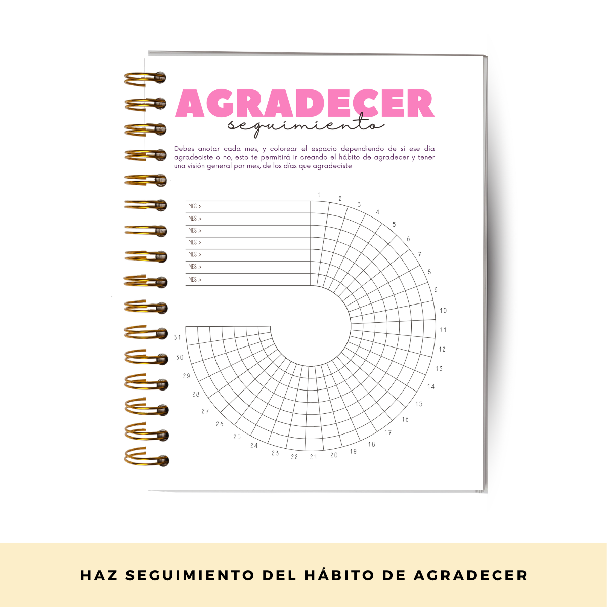Diario de Gratitud Personalizado con Nombre - Rosa