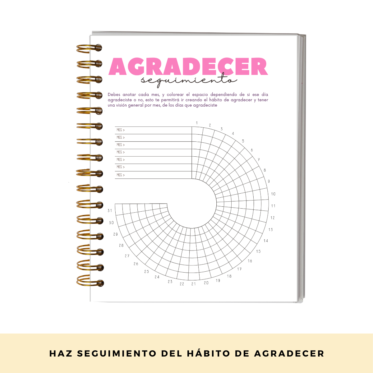 Momentos Gratitud - Cuaderno Diario De Reflexión Y Gratitud