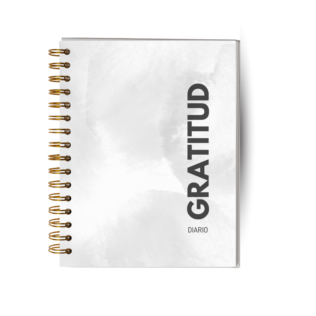 Diario De Gratitud - 90 Días - Diseño Neutro