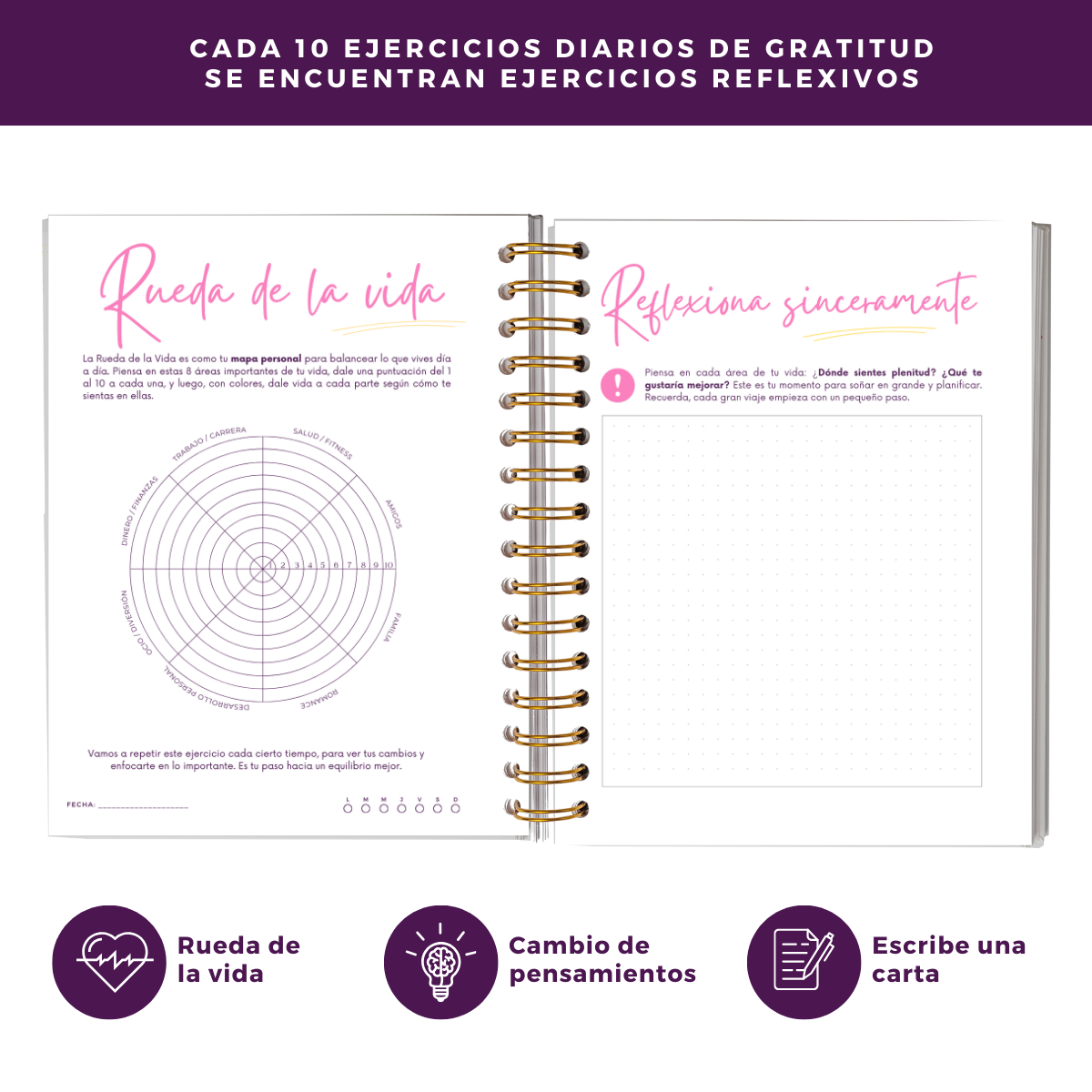 Momentos Gratitud - Cuaderno Diario De Reflexión Y Gratitud