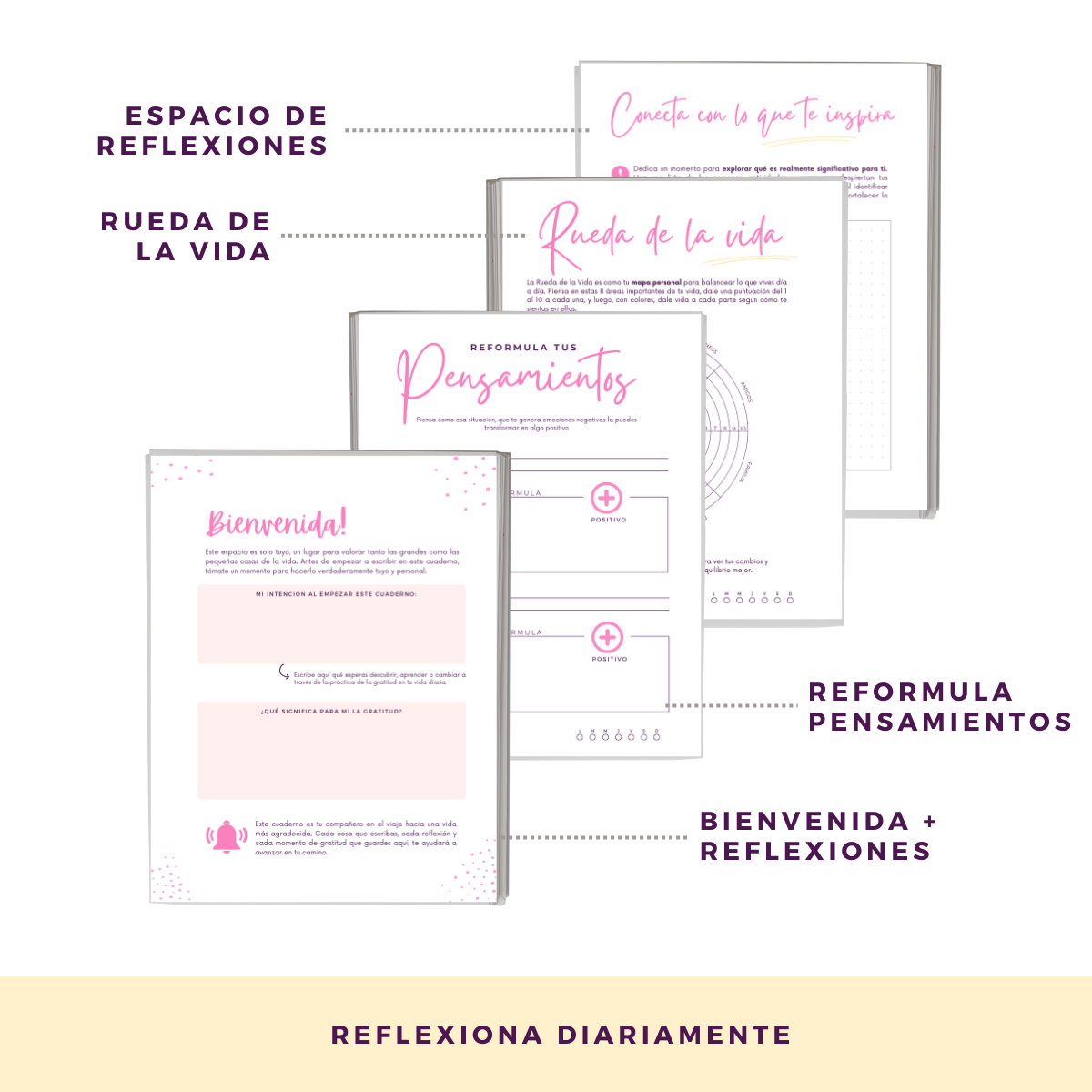 Momentos Gratitud - Cuaderno Diario De Reflexión Y Gratitud