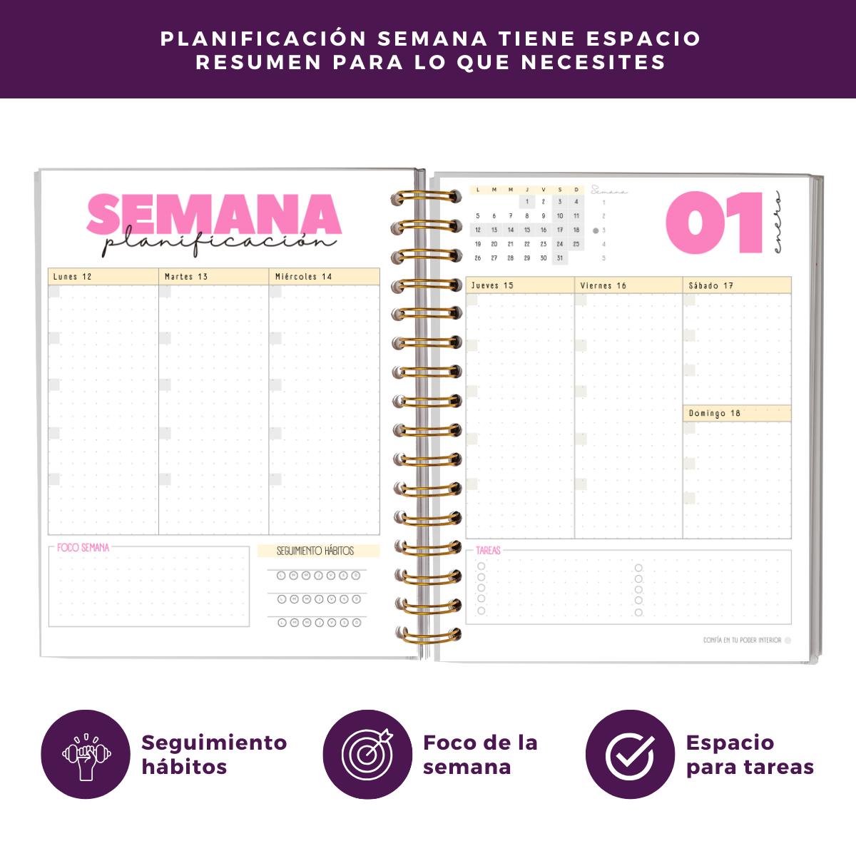 Agenda 2026 con fecha rosa - Tareas diarias 12 meses