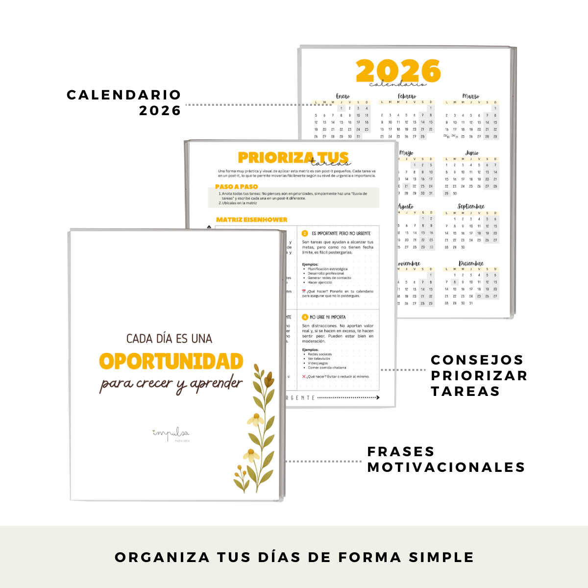 Planner Diario 2 Meses Sin Fecha - Con Notas - Portátil y Liviano