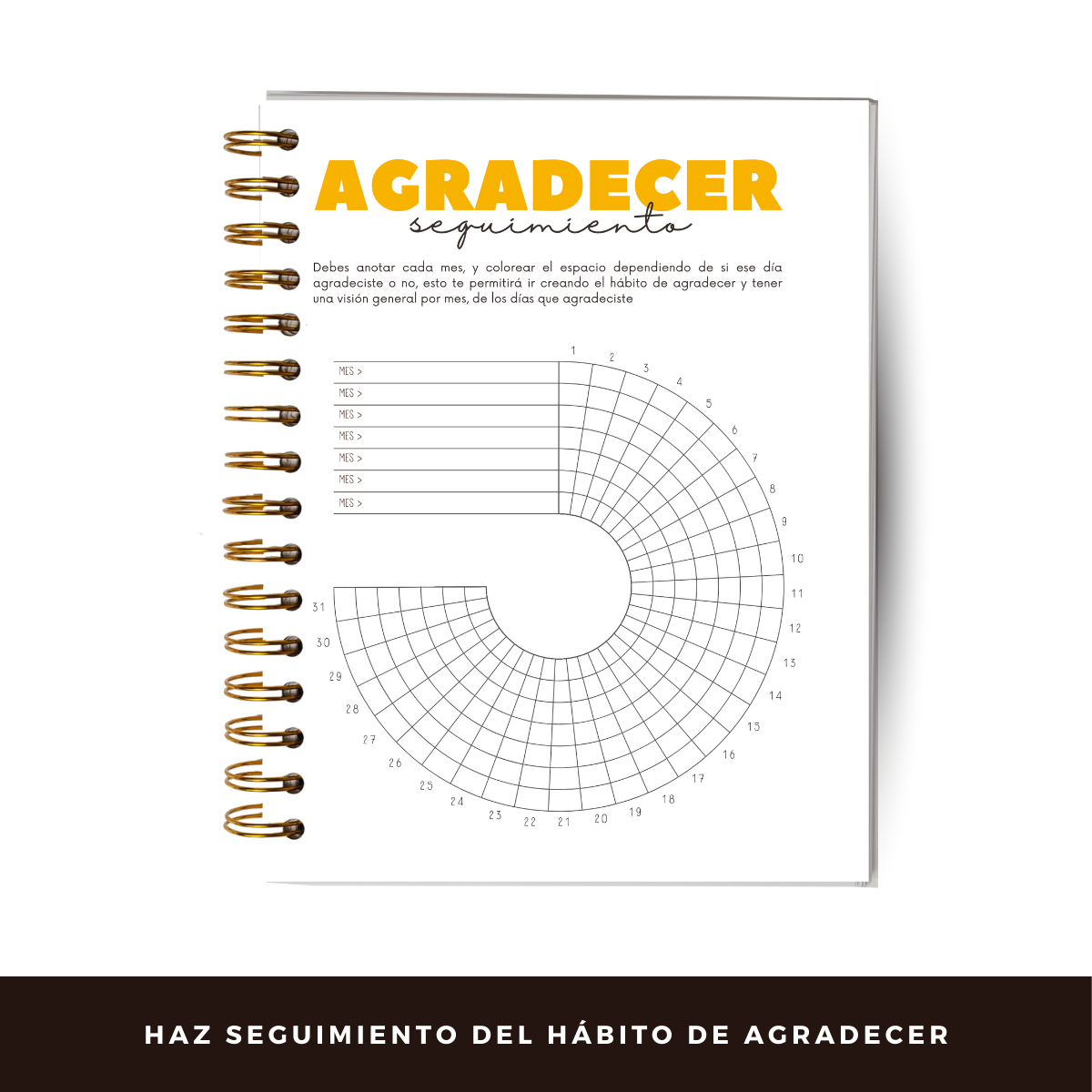 Diario De Gratitud - 90 Días - Diseño Neutro