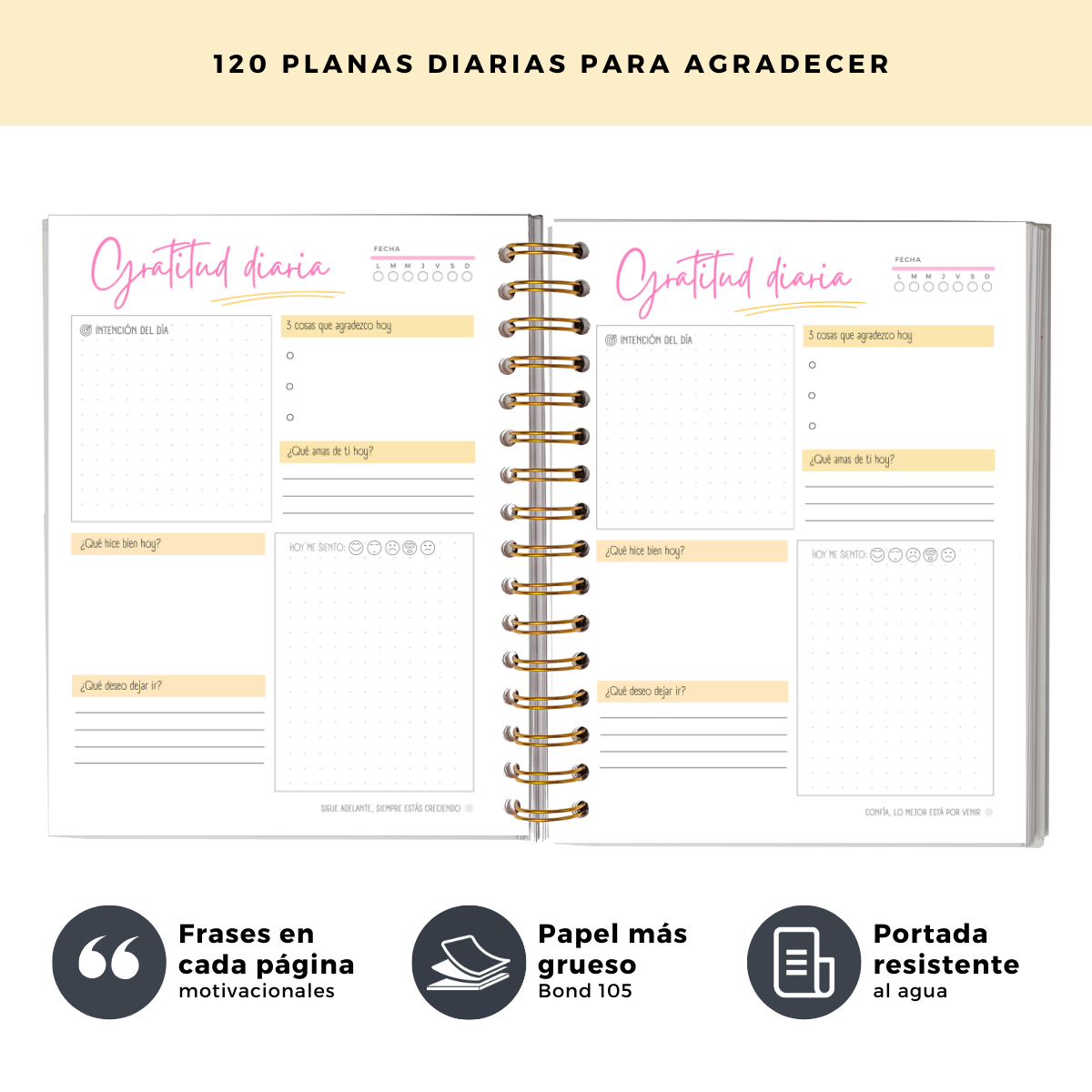 Momentos Gratitud - Cuaderno Diario De Reflexión Y Gratitud